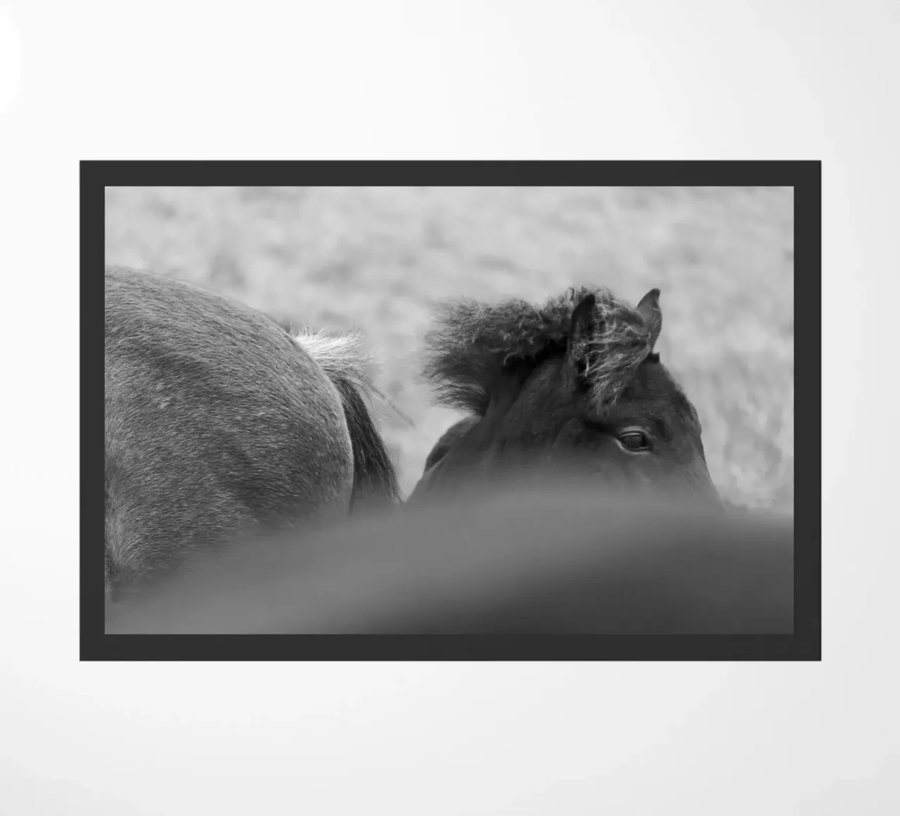 Shy Guy zerbino da Nur Mut