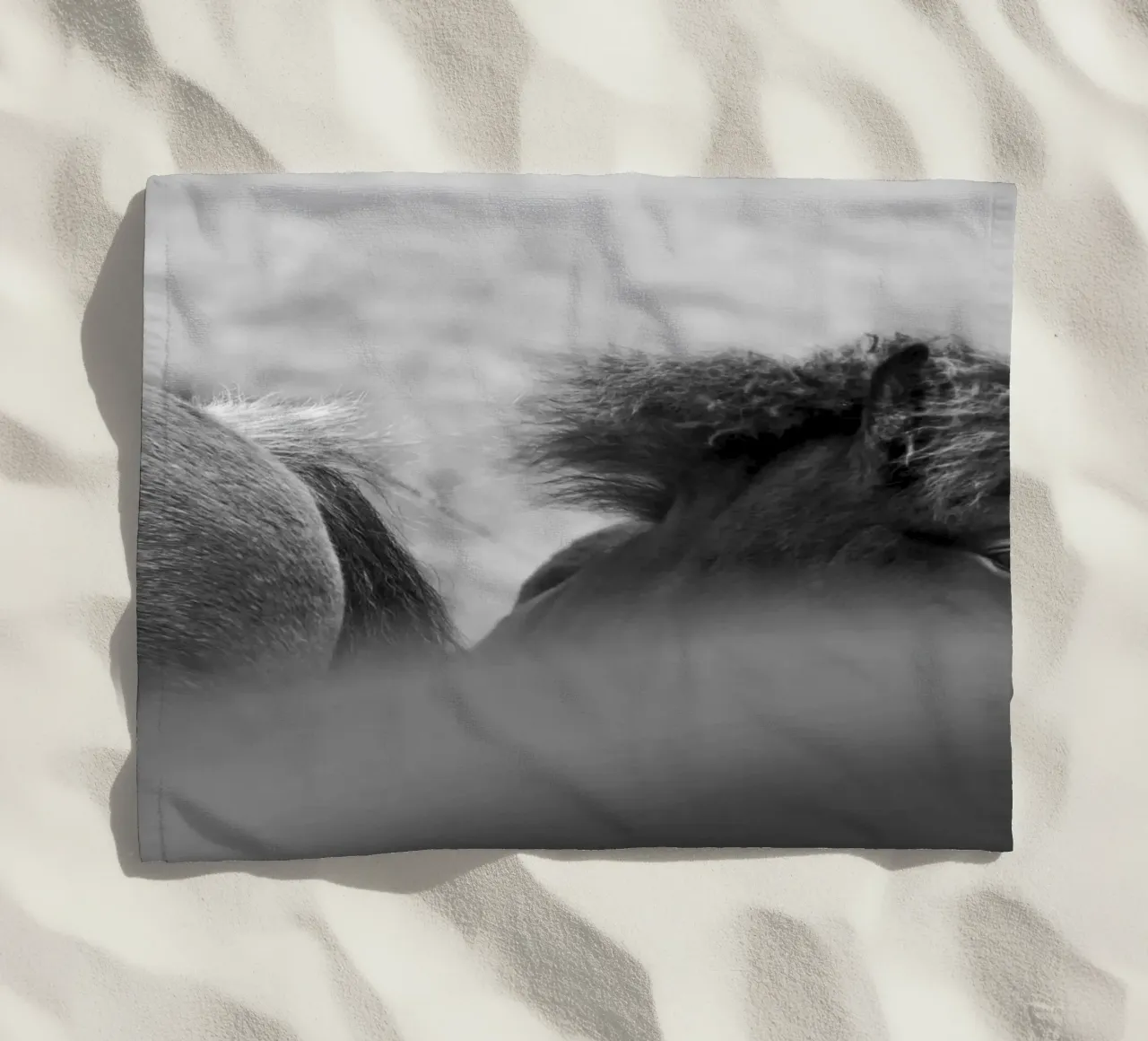 Shy Guy telo mare da Nur Mut