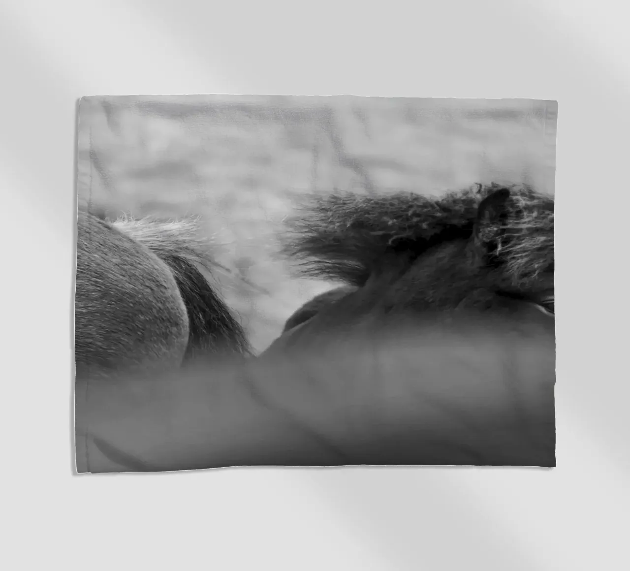 Shy Guy telo mare da Nur Mut