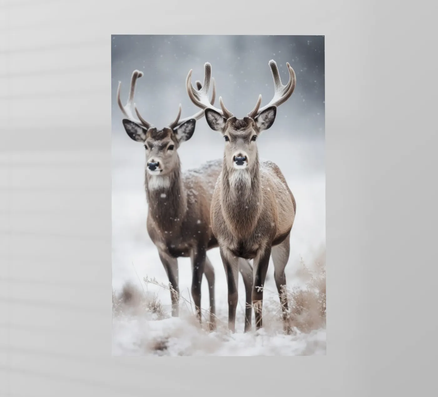 Two Deers pellicola backlit da treechild