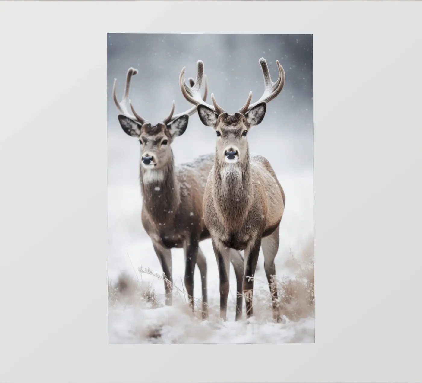 Two Deers pellicola backlit da treechild