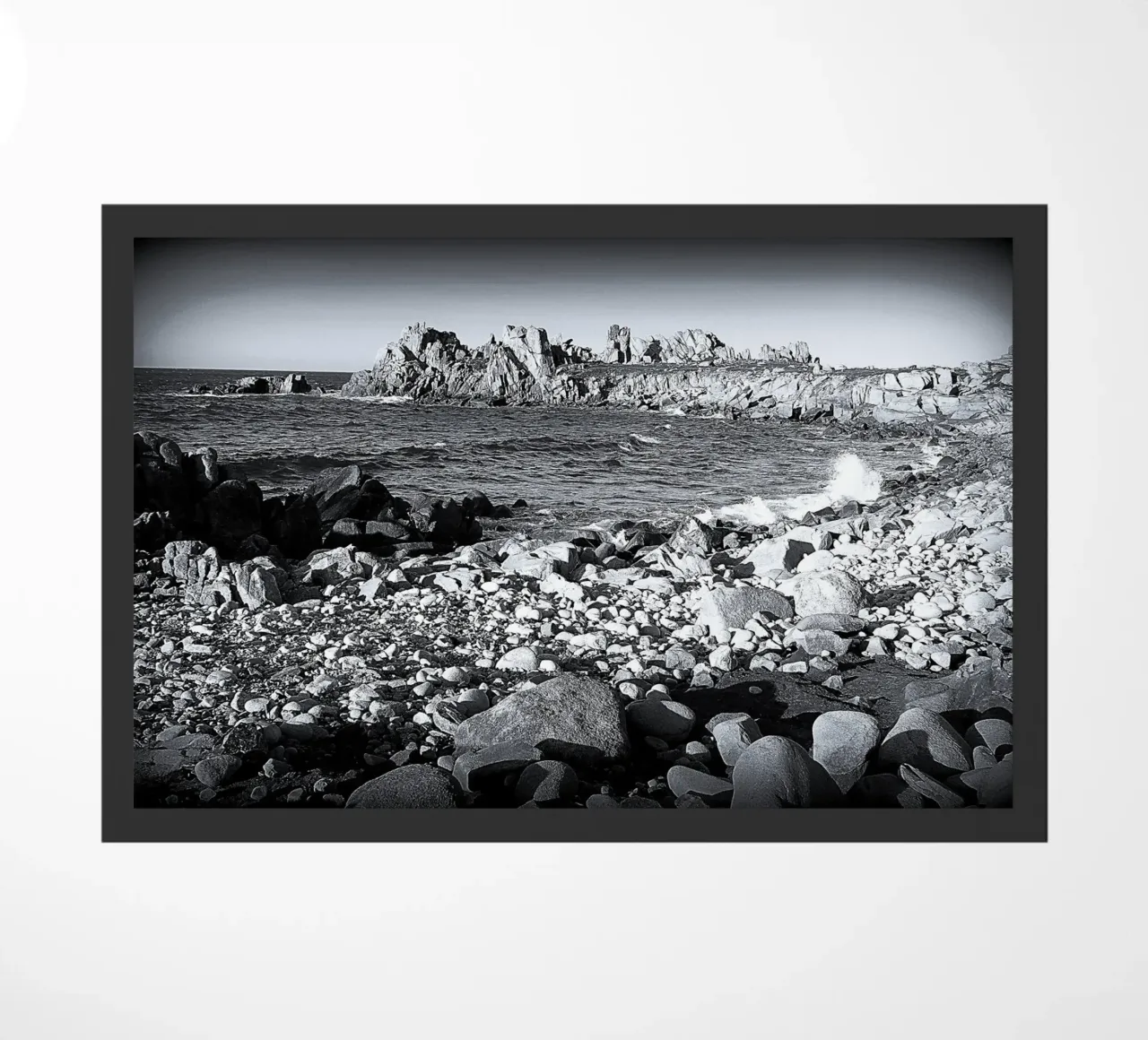 BW23 zerbino da Thierry vobmann photography