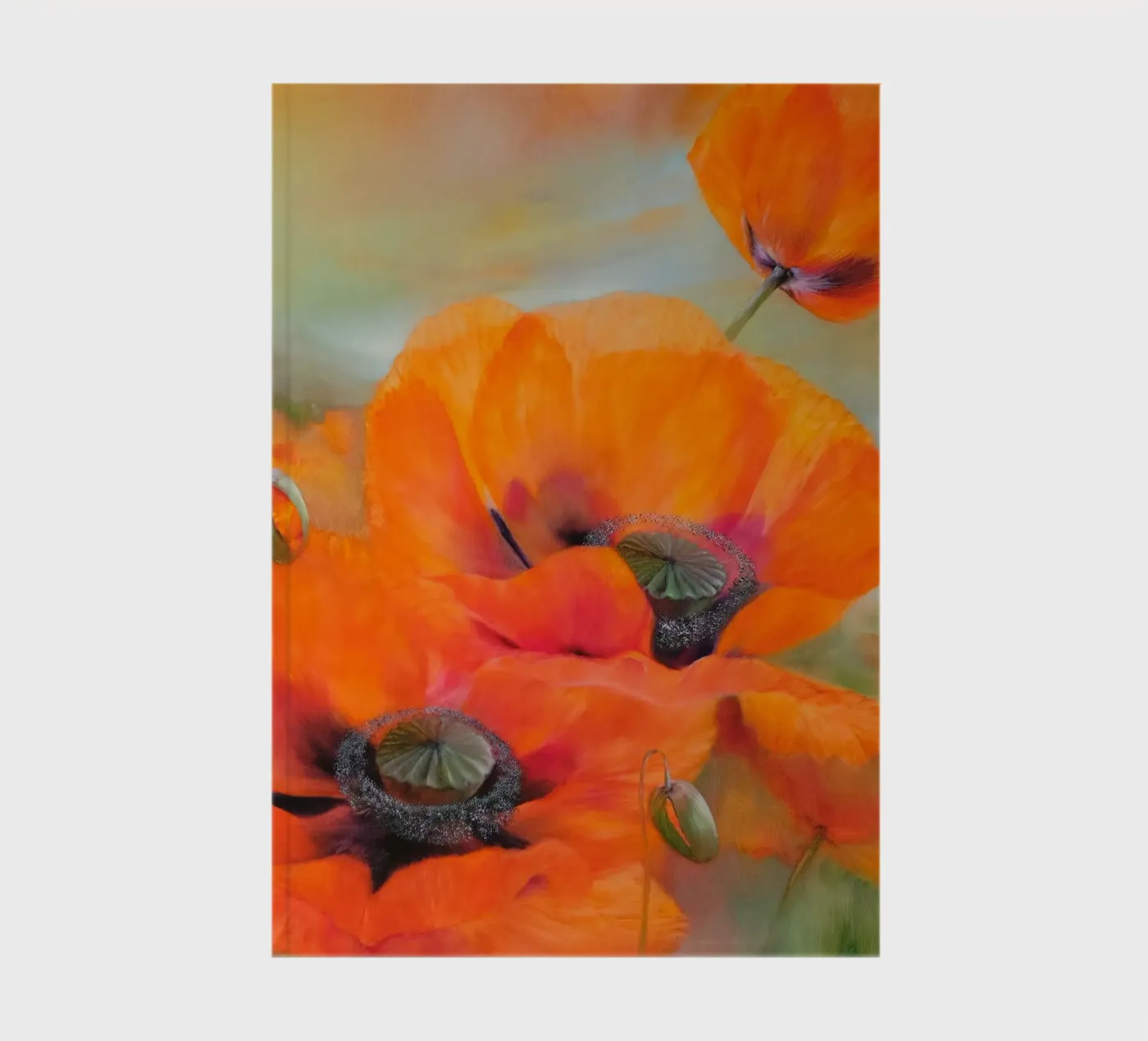 Sunny prospects notebook by Annette Schmucker