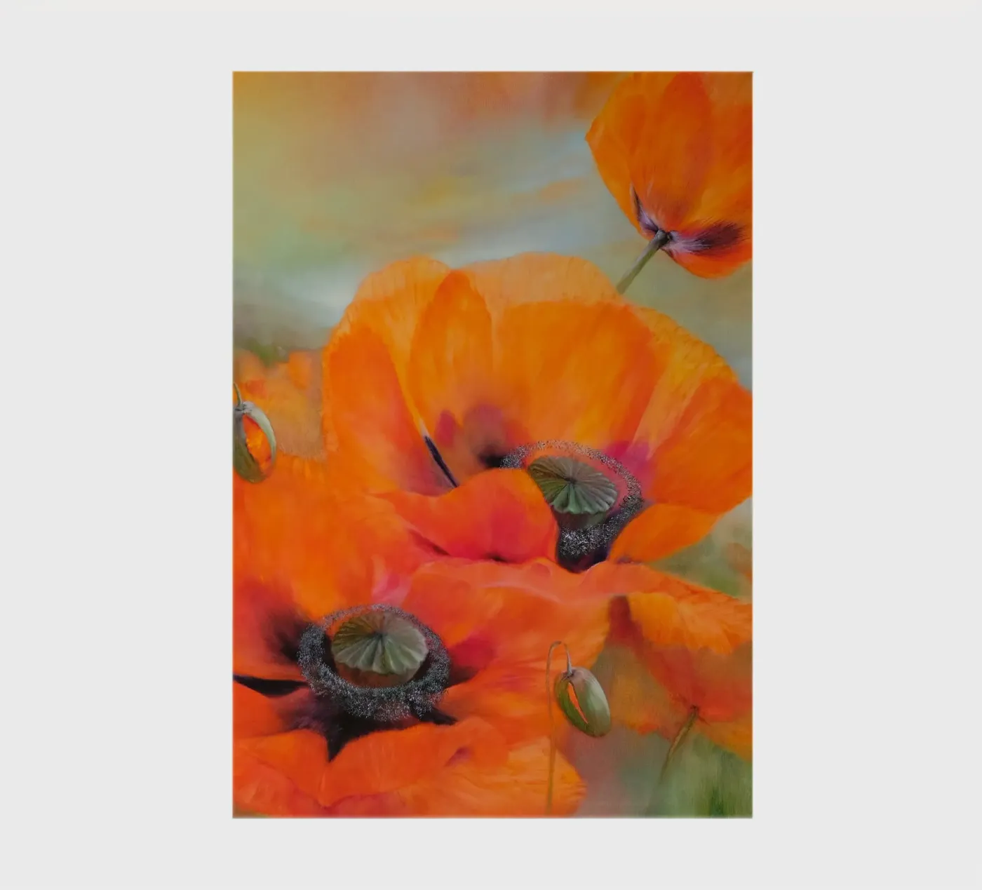 Sunny prospects notebook by Annette Schmucker