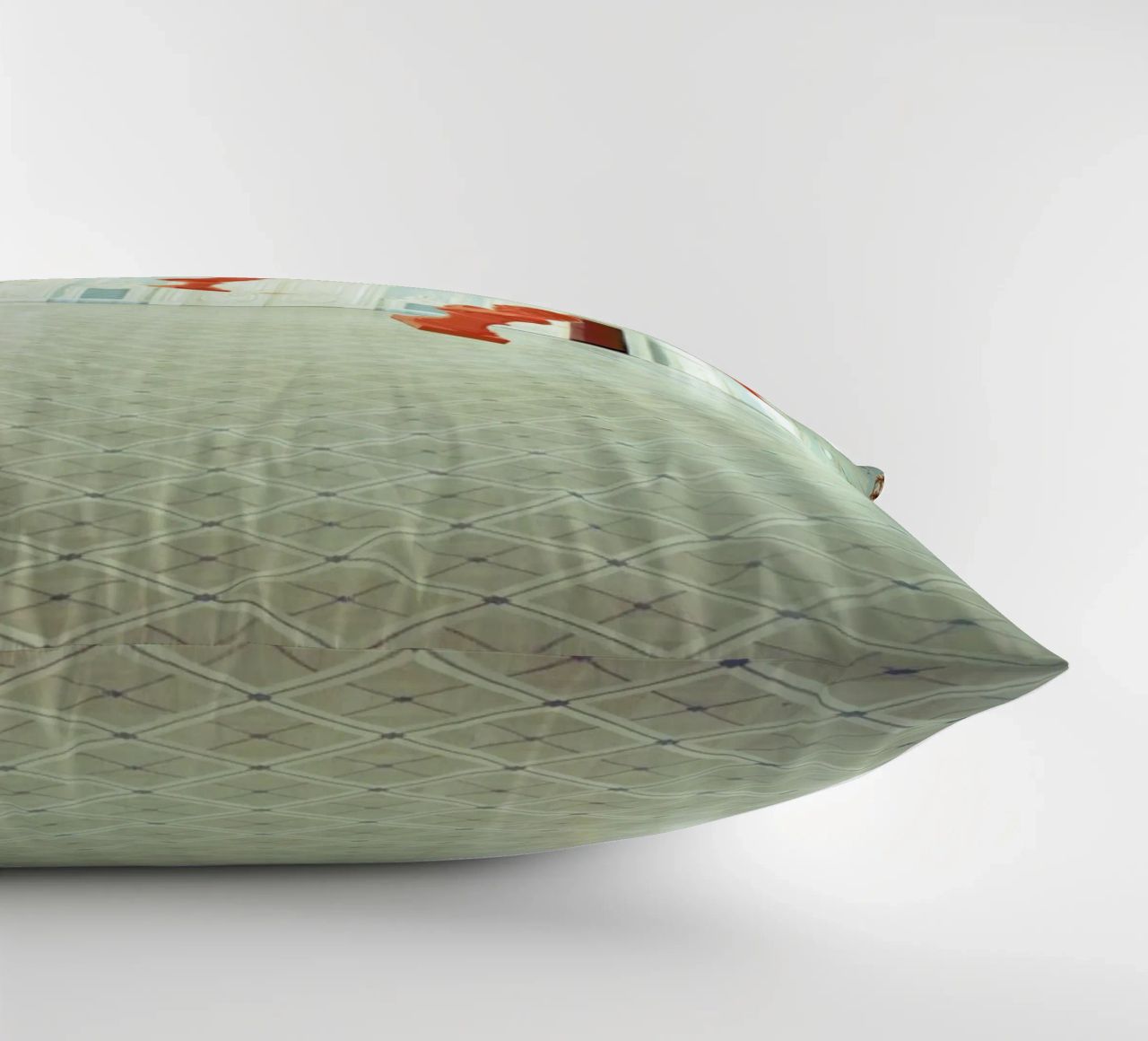 Appassionata coussin de Eugene Soloviev