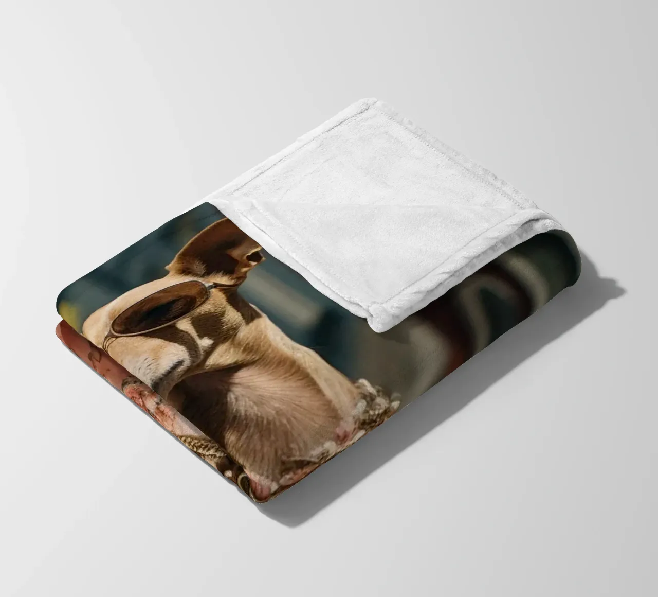 Enzo coperta in pile da Affiches Chien Originales – Dogland