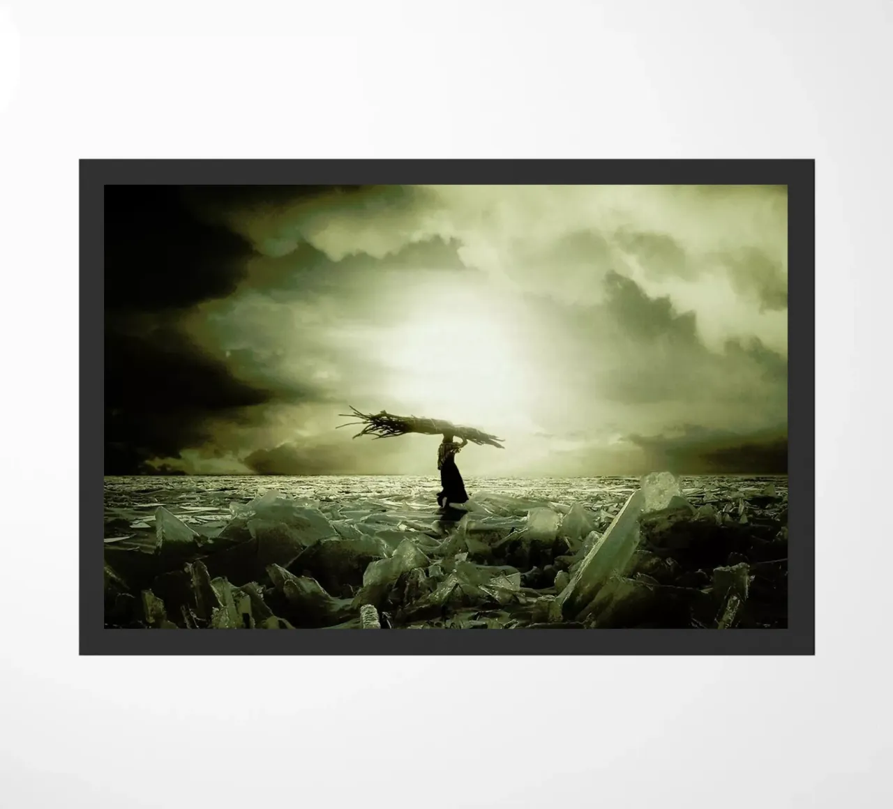 Frozen Nation zerbino da Eugene Soloviev