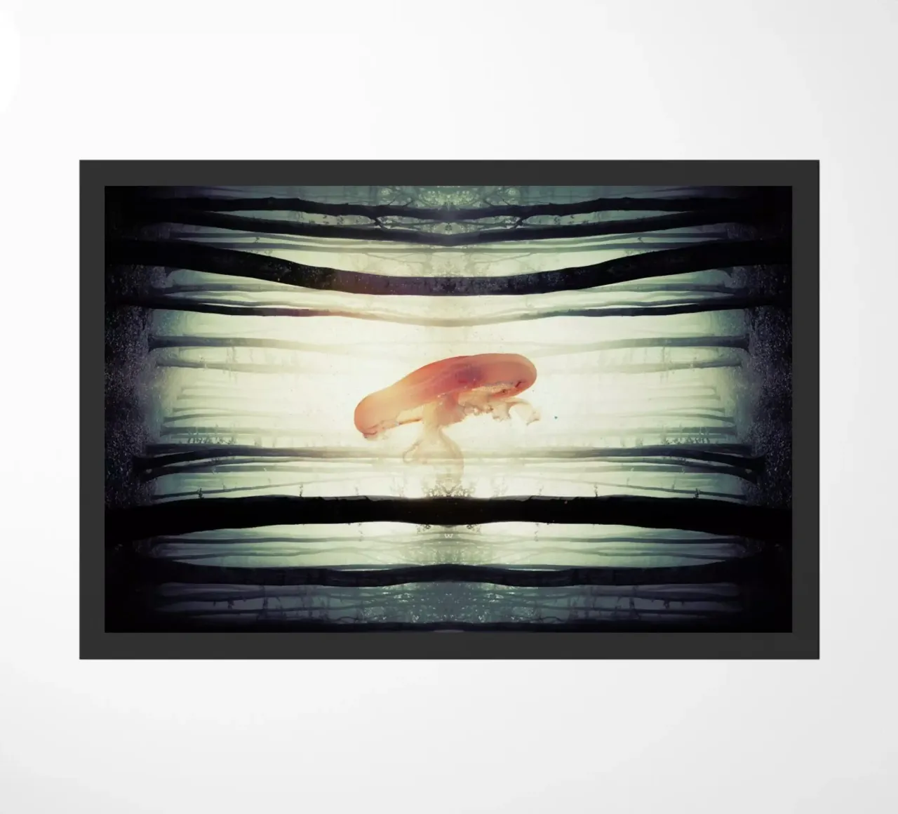 Glow zerbino da Eugene Soloviev