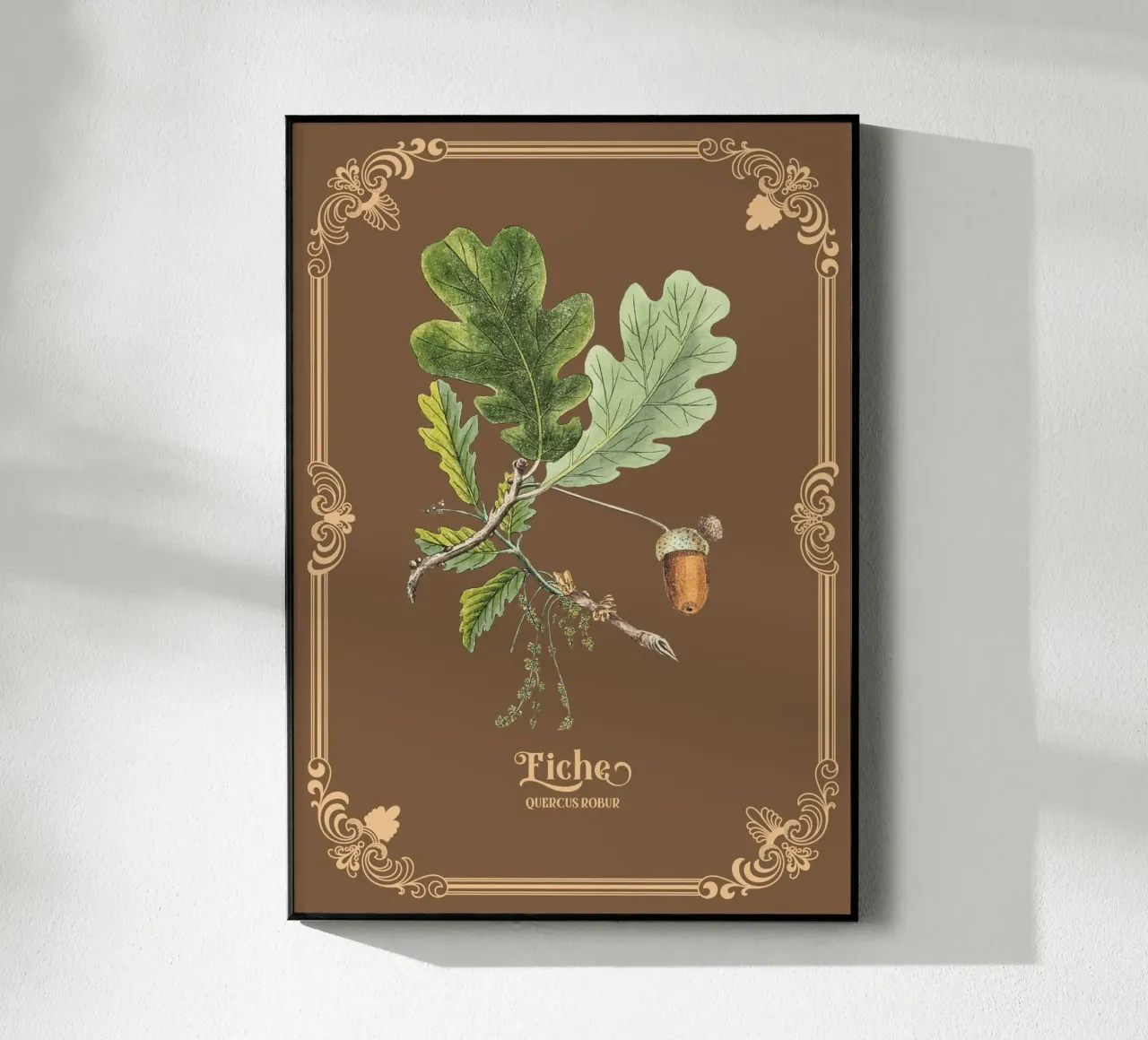 Eiche plexiglass da Luna & Noctua