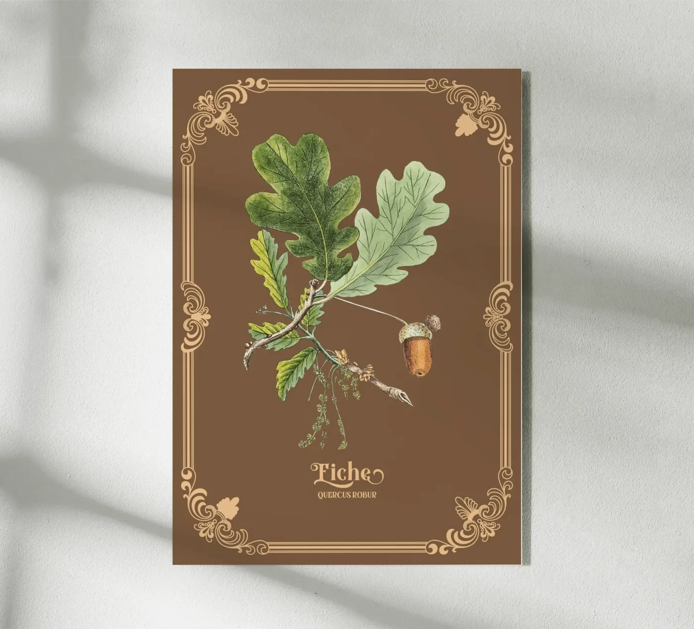 Eiche Acryl-Glas von Luna & Noctua