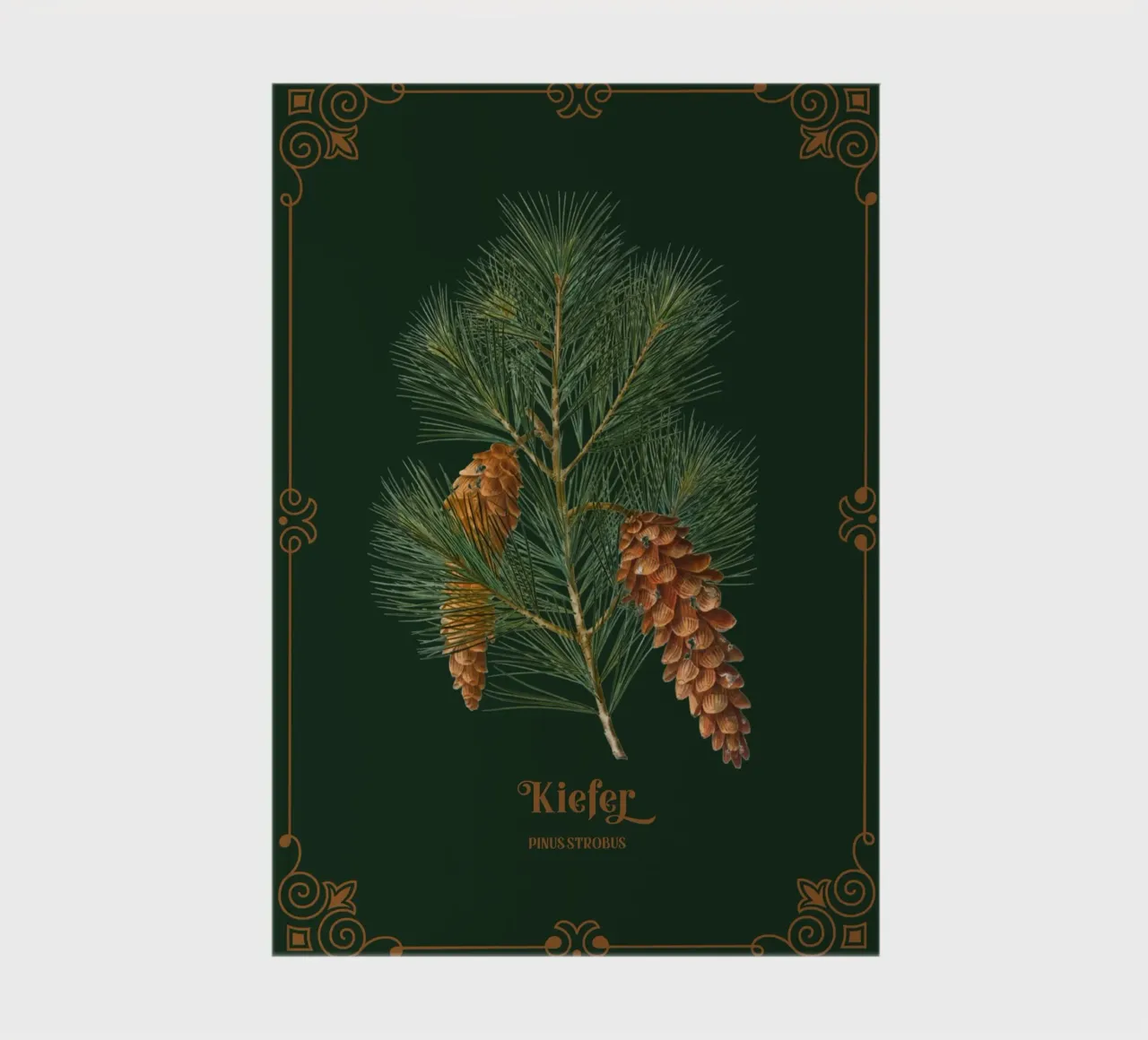 Kiefer notitieboek van Luna & Noctua