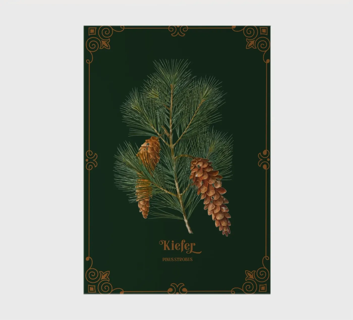 Kiefer Notizbuch von Luna & Noctua