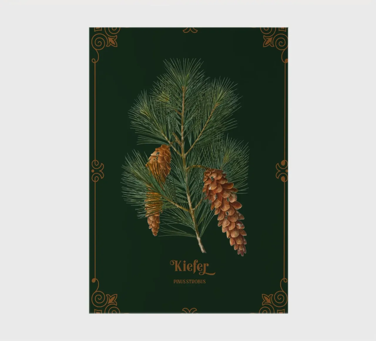 Kiefer notitieboek van Luna & Noctua