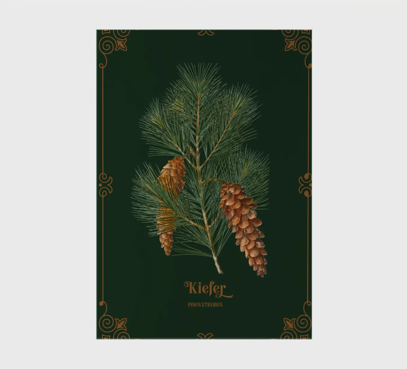 Kiefer Notizbuch von Luna & Noctua