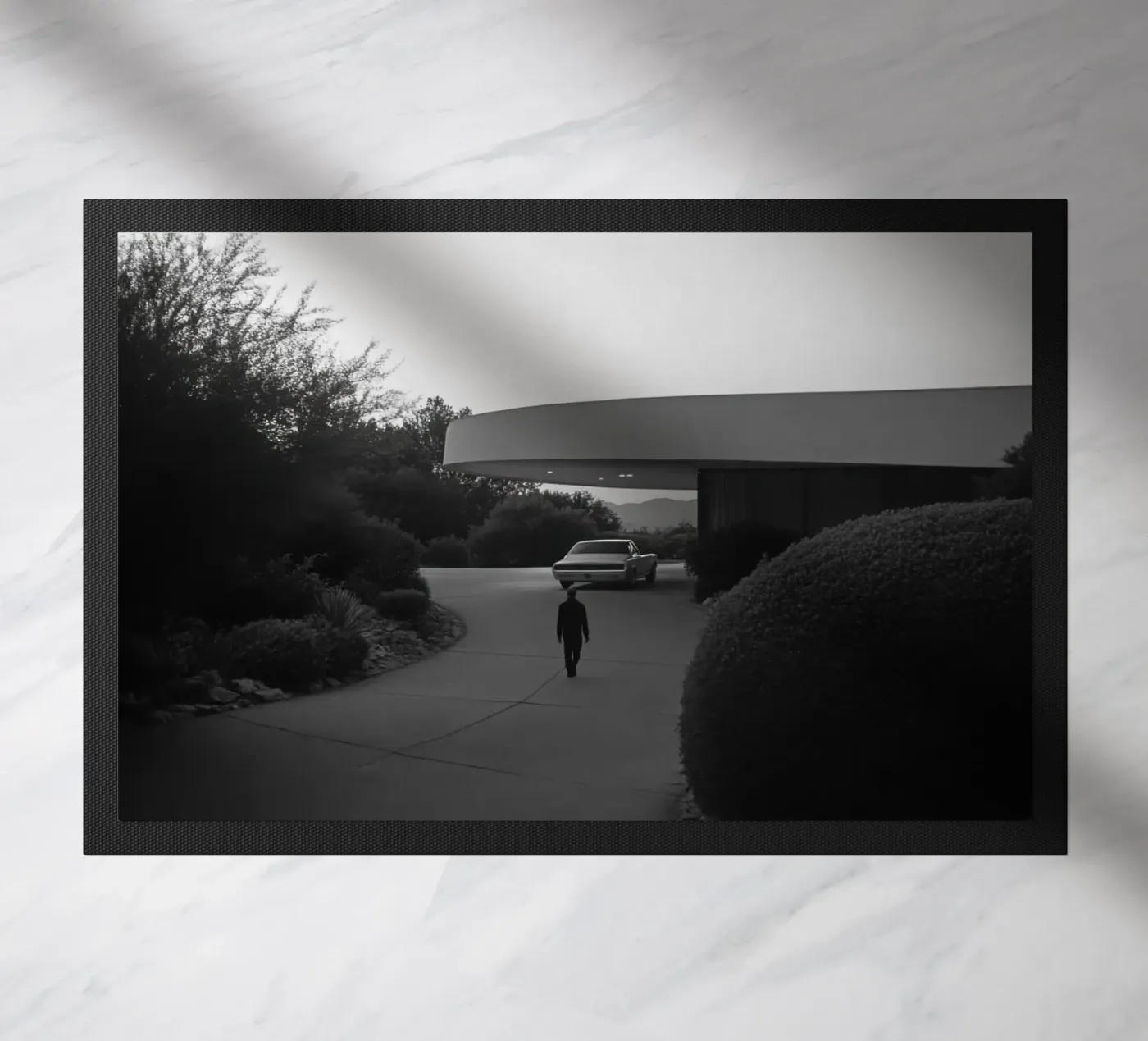 Silhouette del solitario zerbino da Black & White