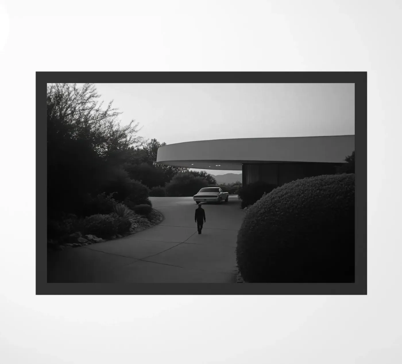 Silhouette del solitario zerbino da Black & White