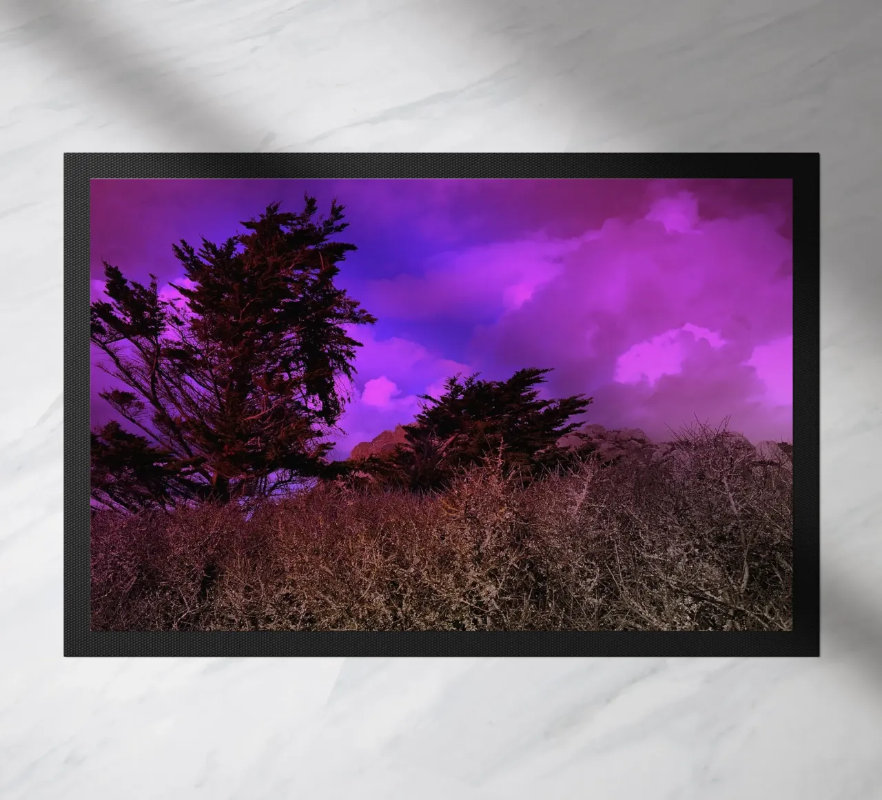 FAA110 zerbino da Thierry vobmann photography