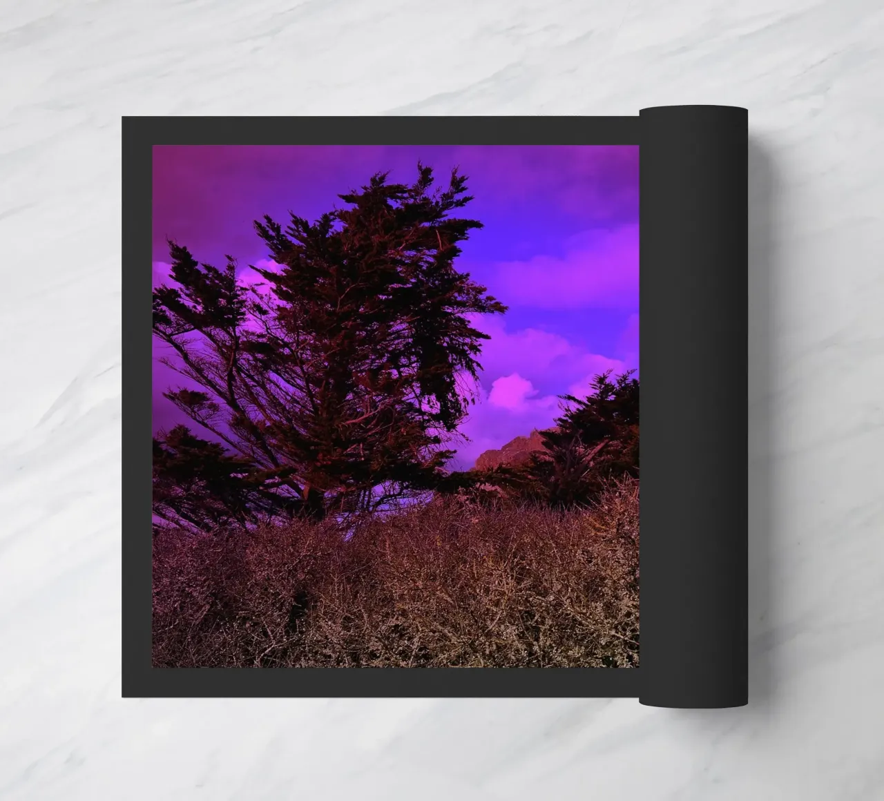 FAA110 zerbino da Thierry vobmann photography