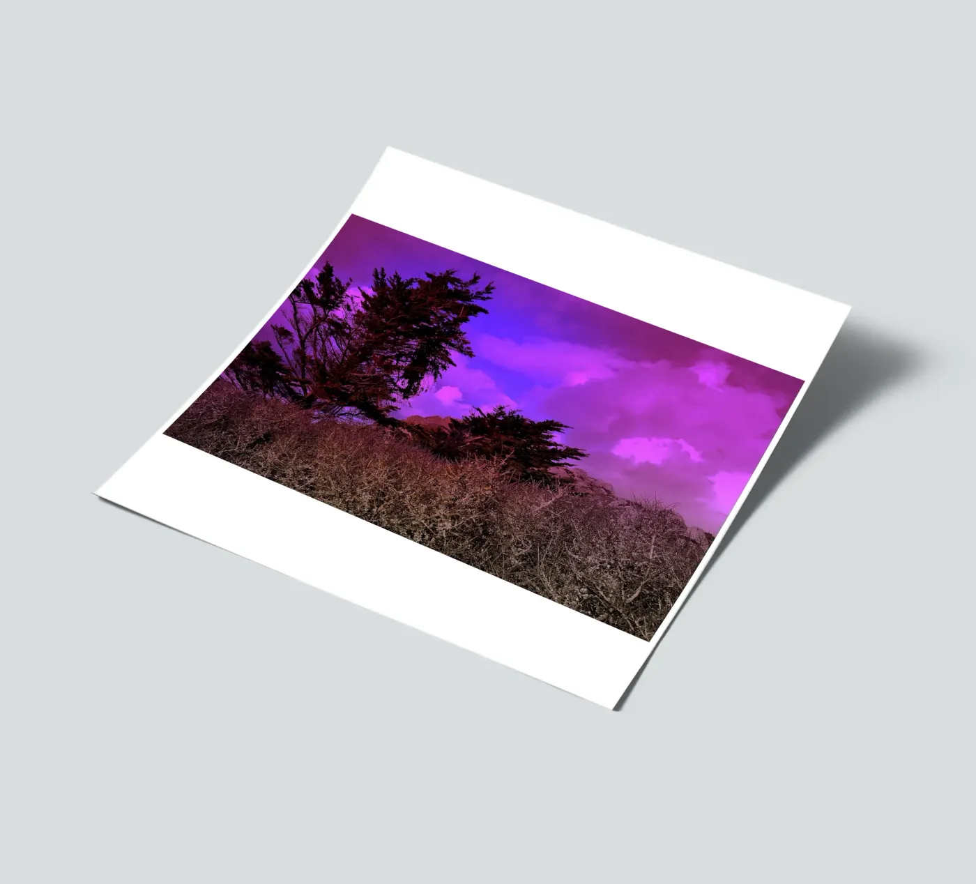 FAA110 sticker sheet by Thierry vobmann photography