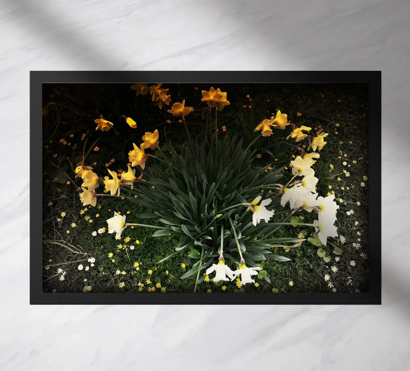 FAA111 doormat by Thierry vobmann photography