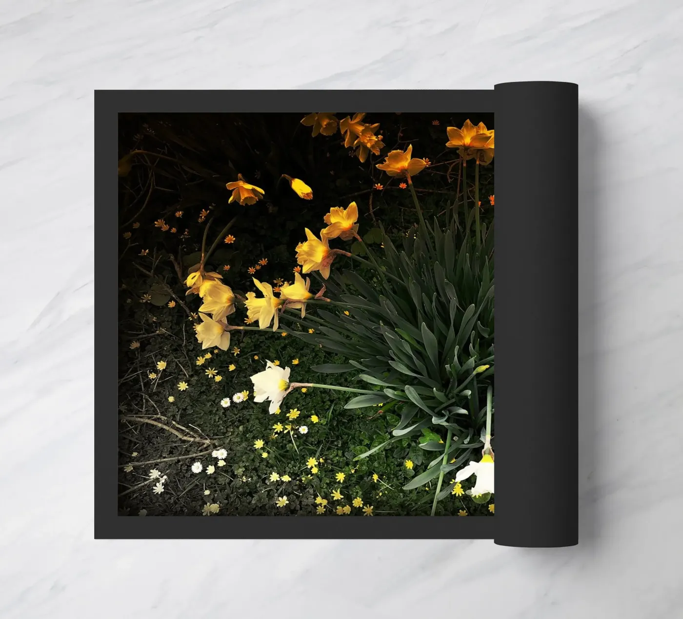 FAA111 doormat by Thierry vobmann photography