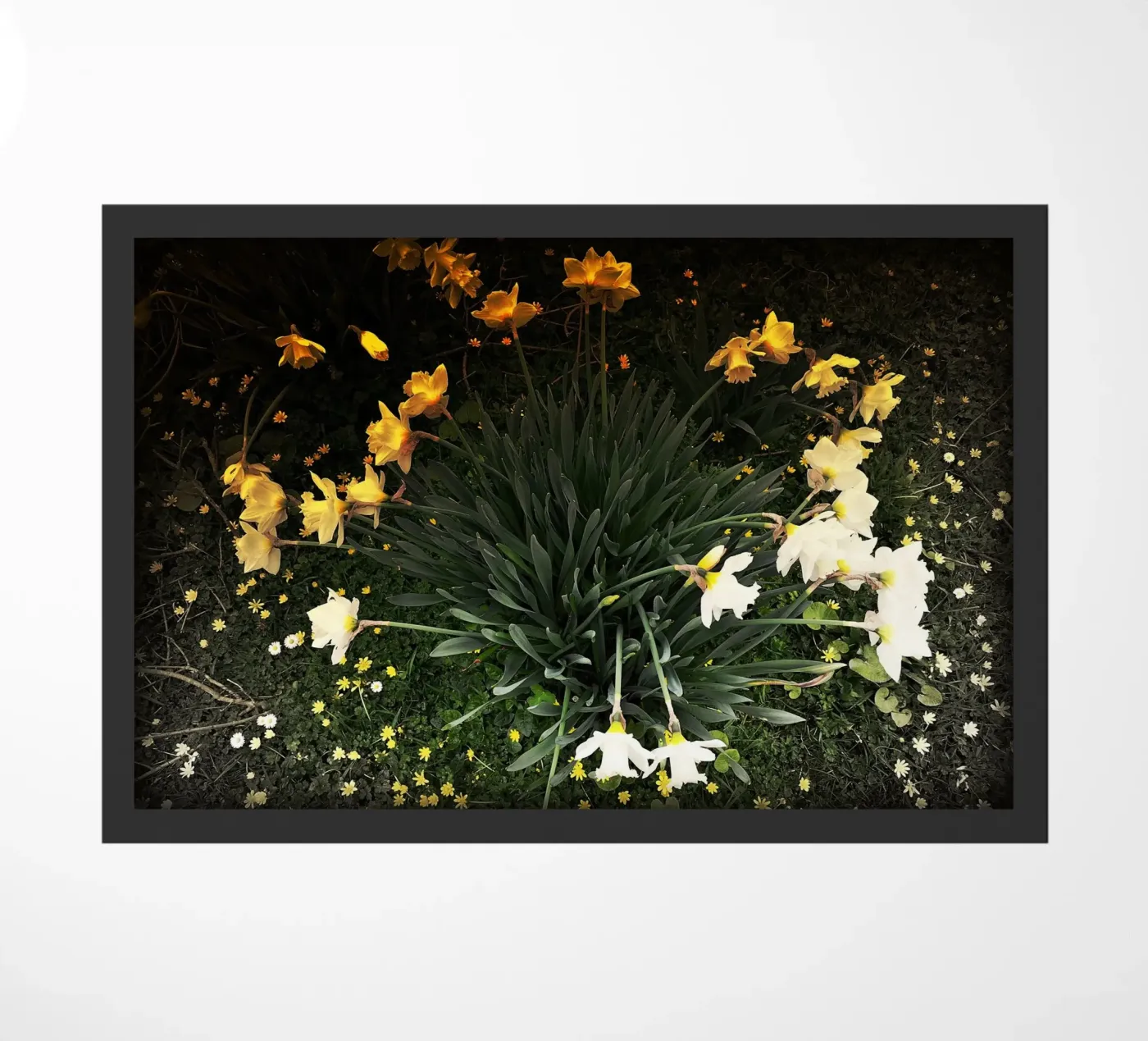 FAA111 doormat by Thierry vobmann photography