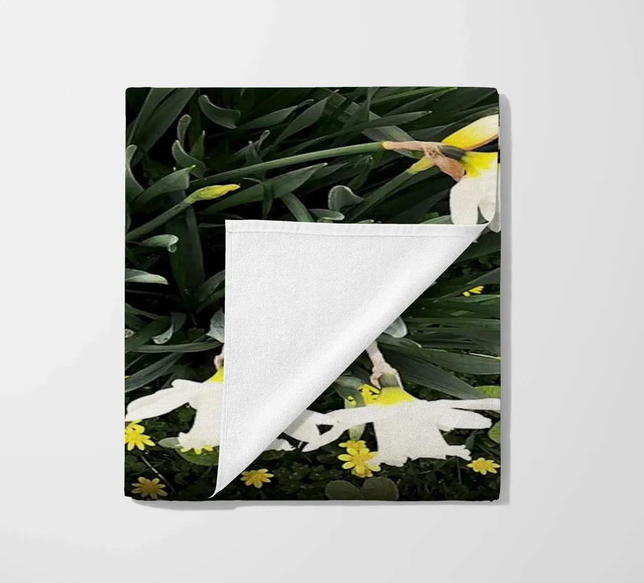 FAA111 telo mare da Thierry vobmann photography