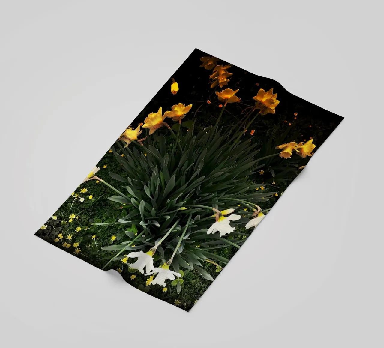 FAA111 telo mare da Thierry vobmann photography