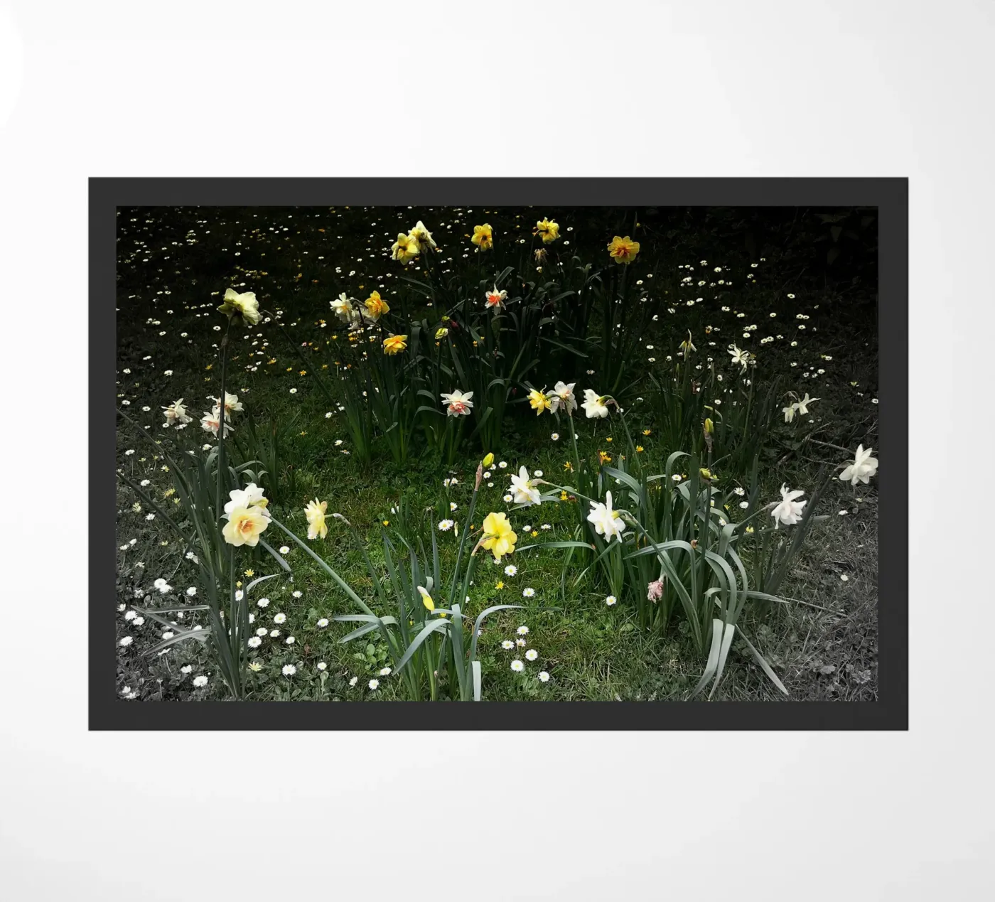 FAA112 deurmat van Thierry vobmann photography