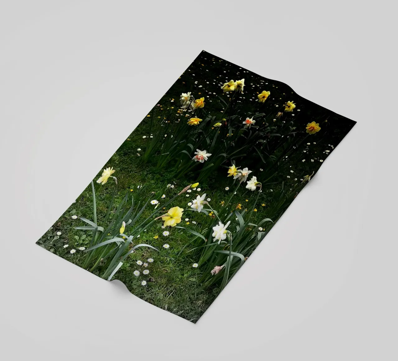 FAA112 telo mare da Thierry vobmann photography