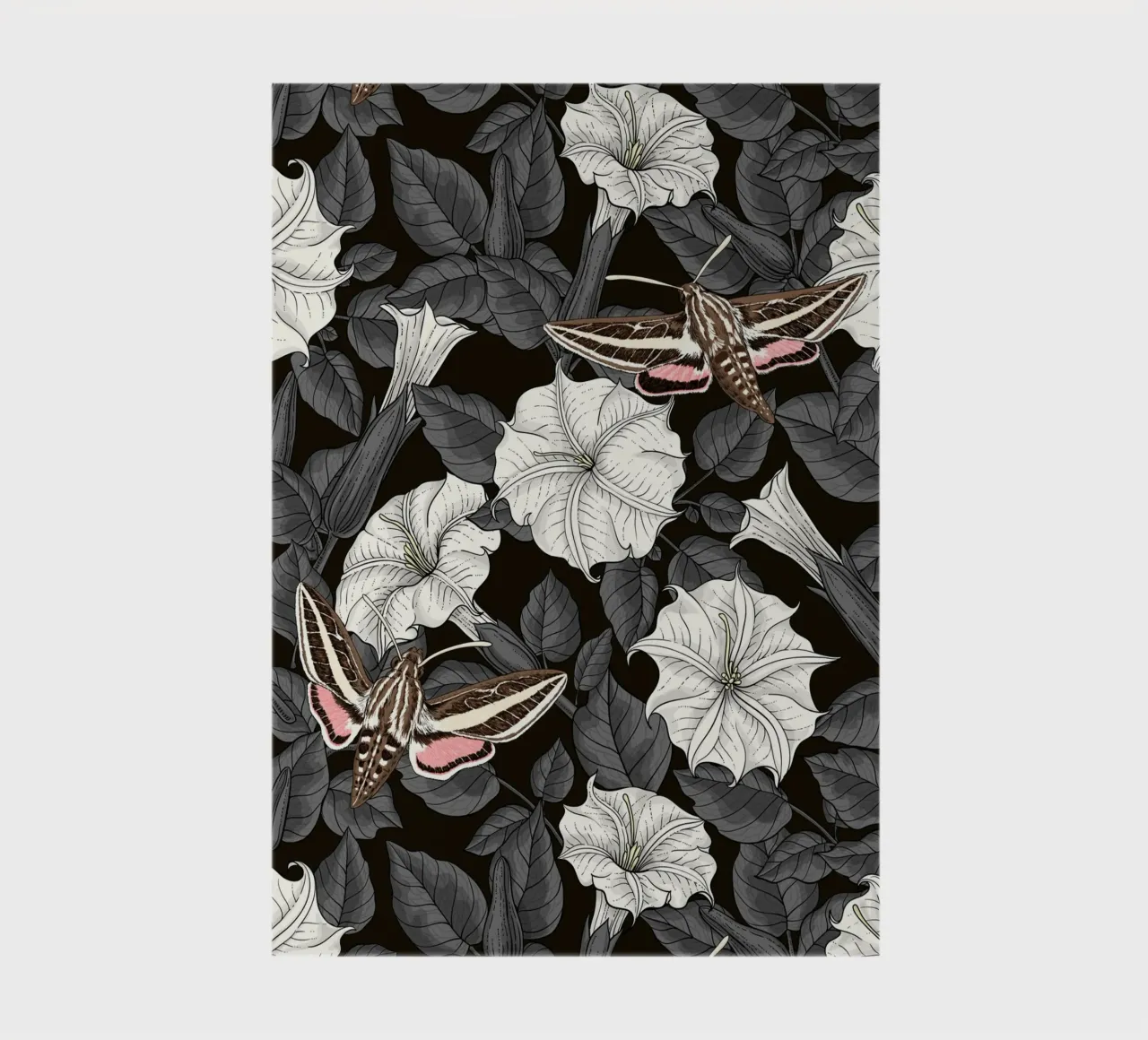 Moonflowers and sphinx moths in gray and white notebook by Painted Nature