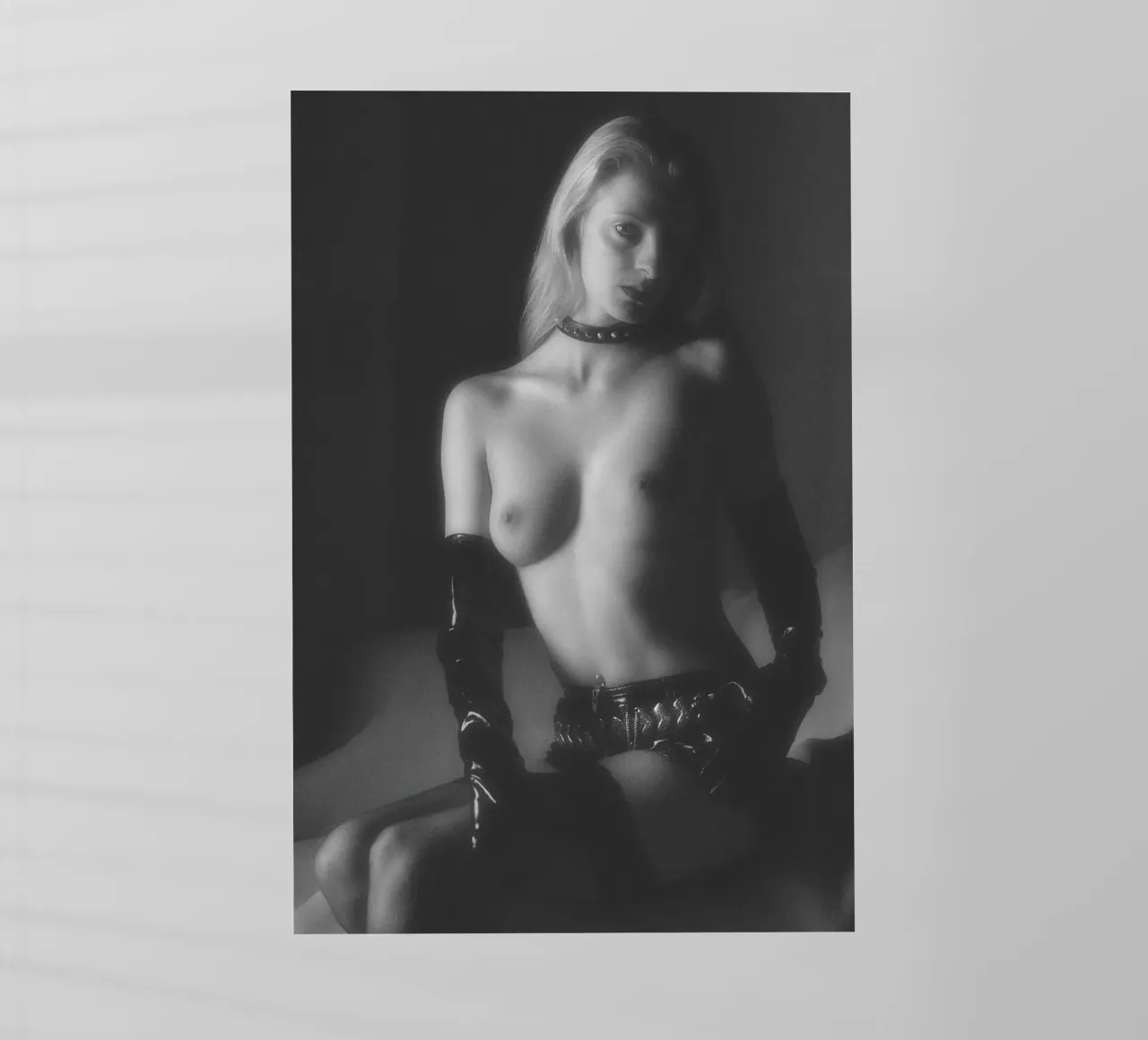 Mel pellicola backlit da Dave Hare Photography