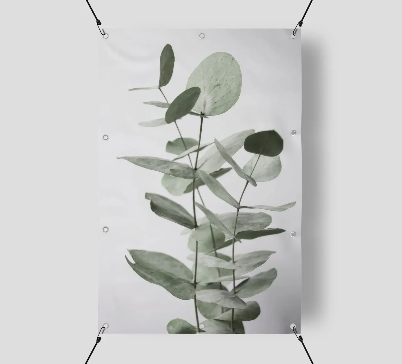 Foglie di eucalipto telo in pvc da Melloi Art Print