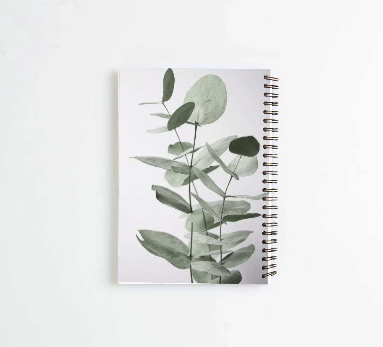 Eukalyptus-Blätter Ringbuch von Melloi Art Print
