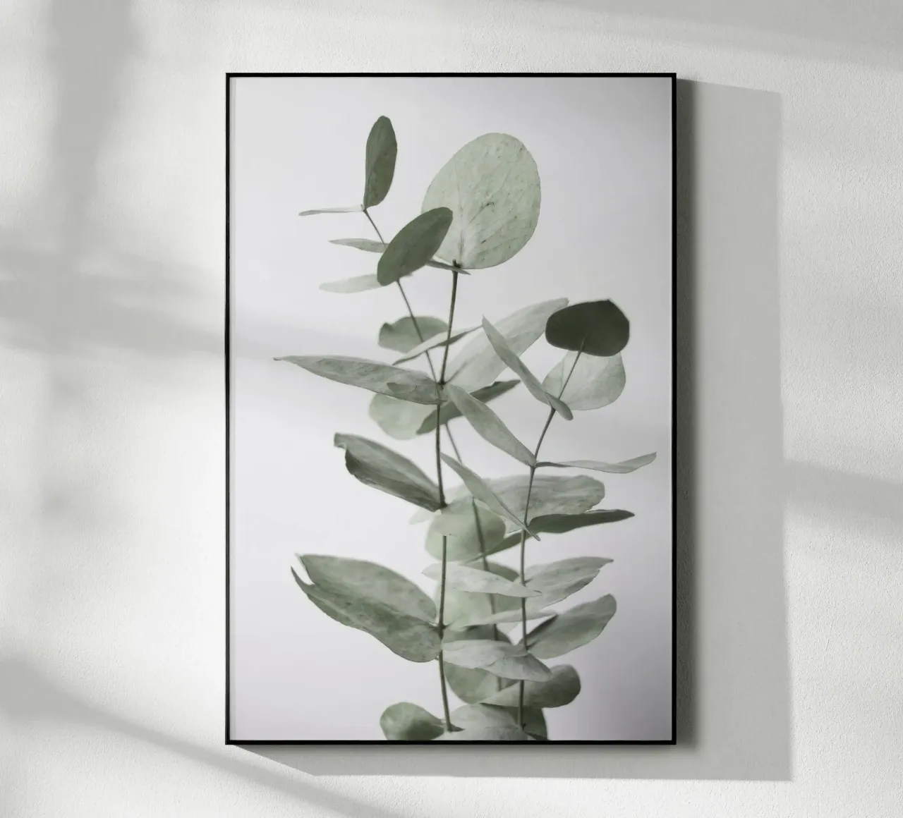 Eukalyptus-Blätter Acryl-Glas von Melloi Art Print