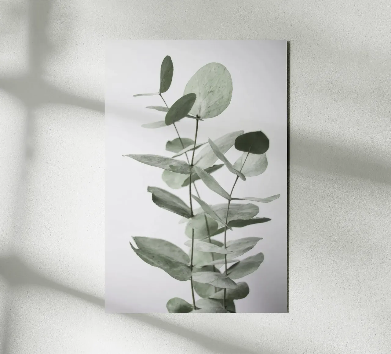 Eucalyptus Leaves alu-dibond by Melloi Art Print