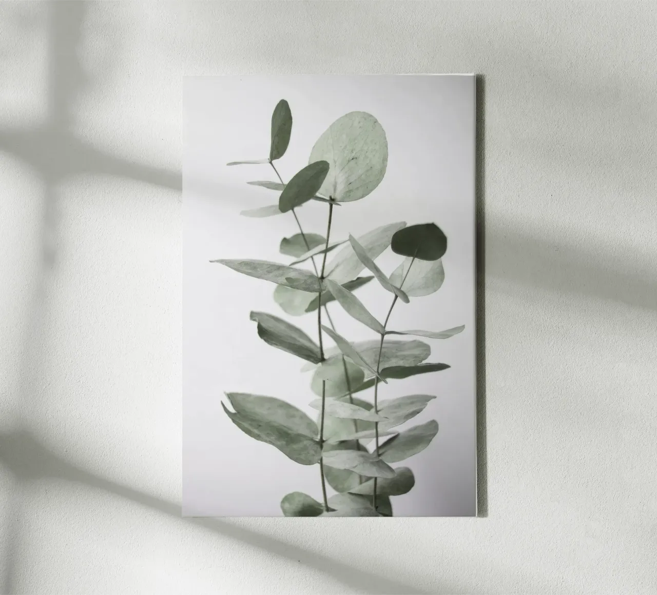 Eucalyptus Leaves canvas by Melloi Art Print