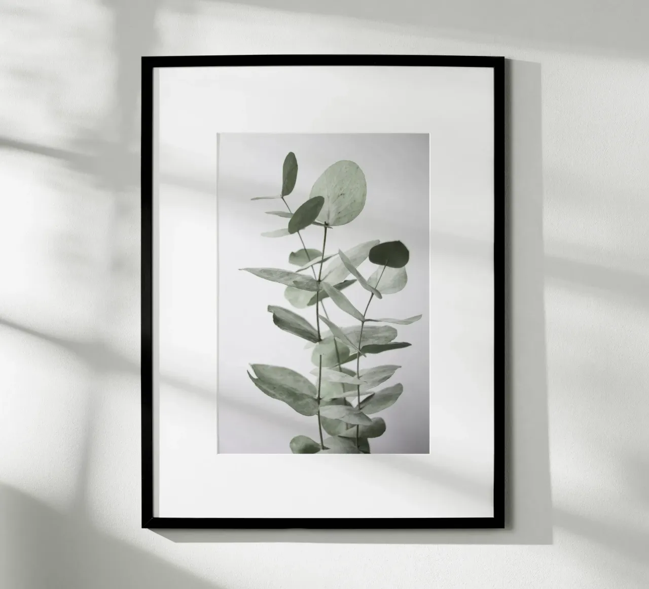 Foglie di eucalipto poster da Melloi Art Print