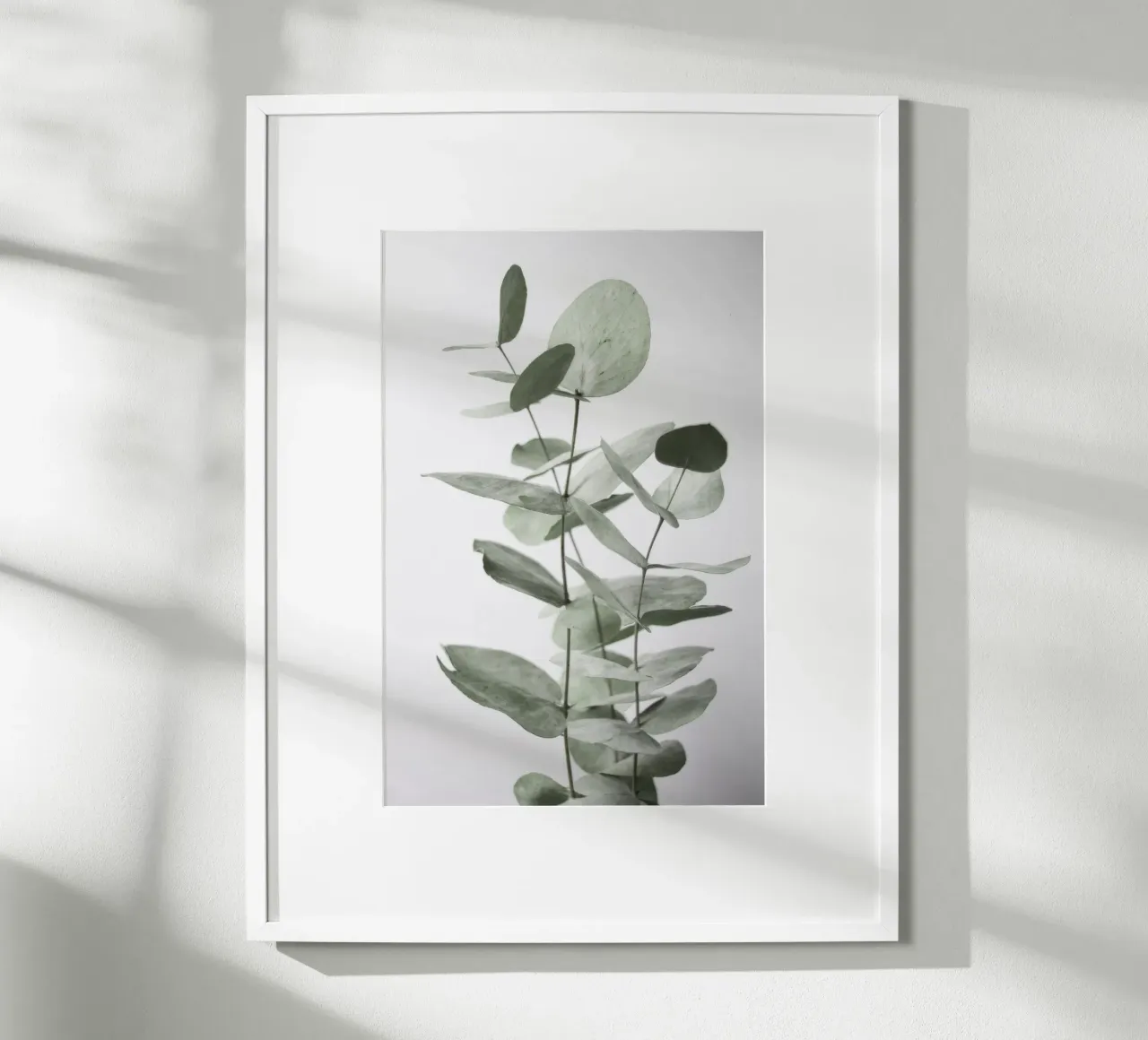 Foglie di eucalipto poster da Melloi Art Print