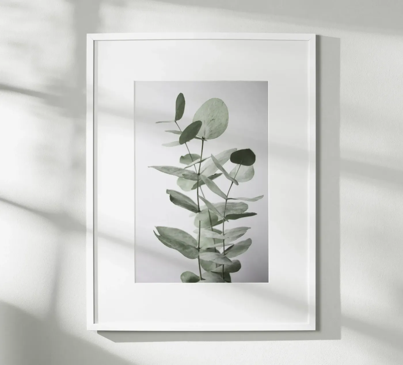 Foglie di eucalipto poster da Melloi Art Print