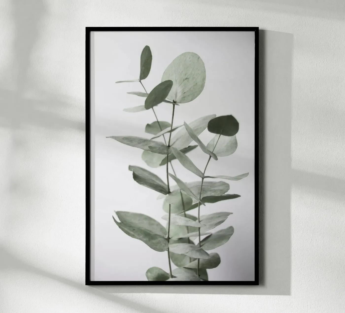 Foglie di eucalipto poster da Melloi Art Print