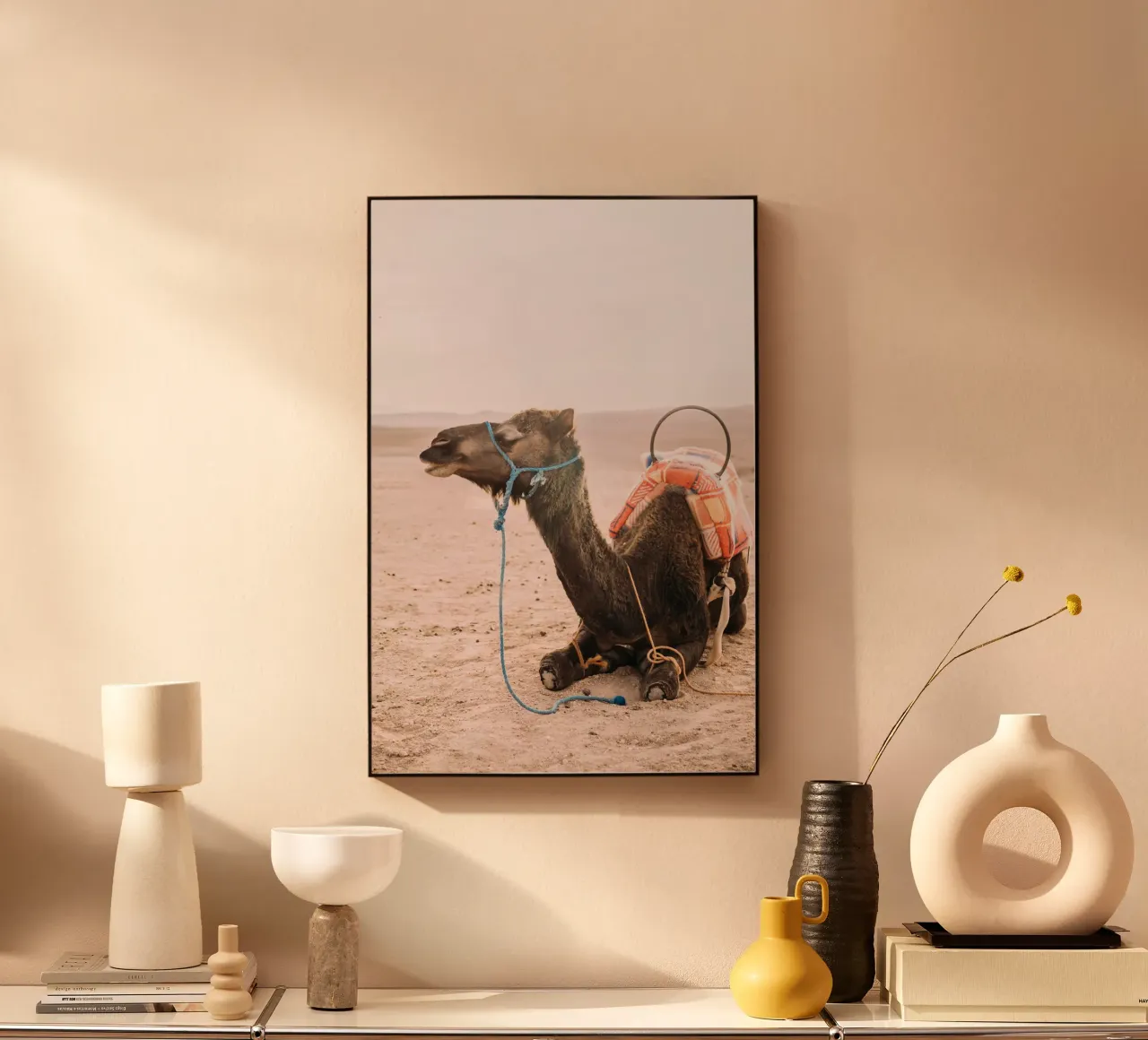 Morocco Dromedary Camel plexiglass da patiphotography