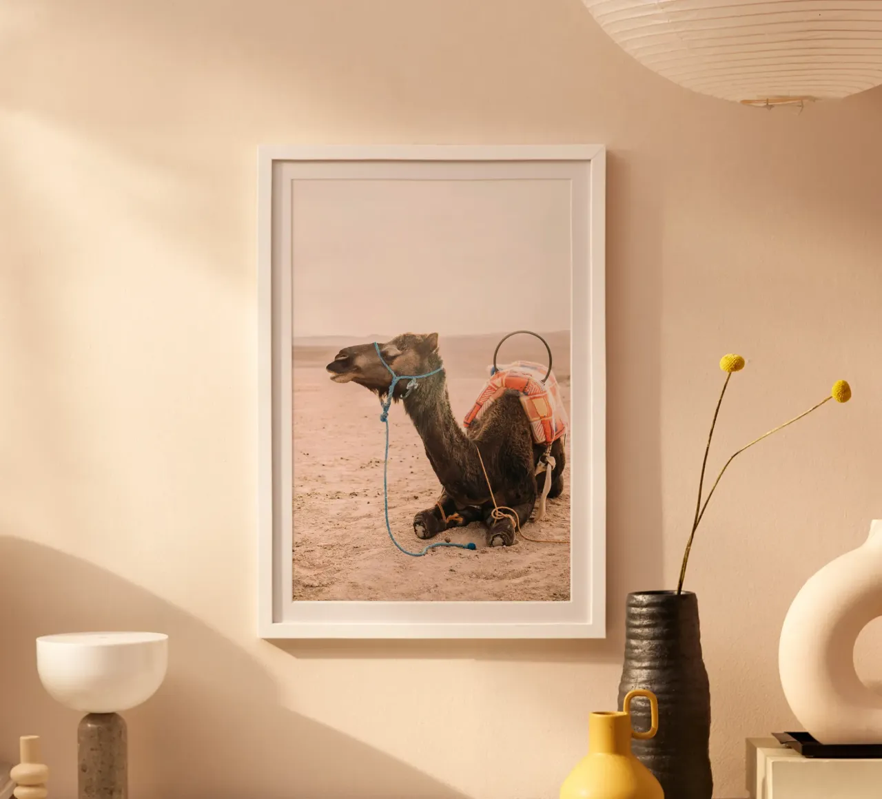 Morocco Dromedary Camel carta hahnemühle da patiphotography
