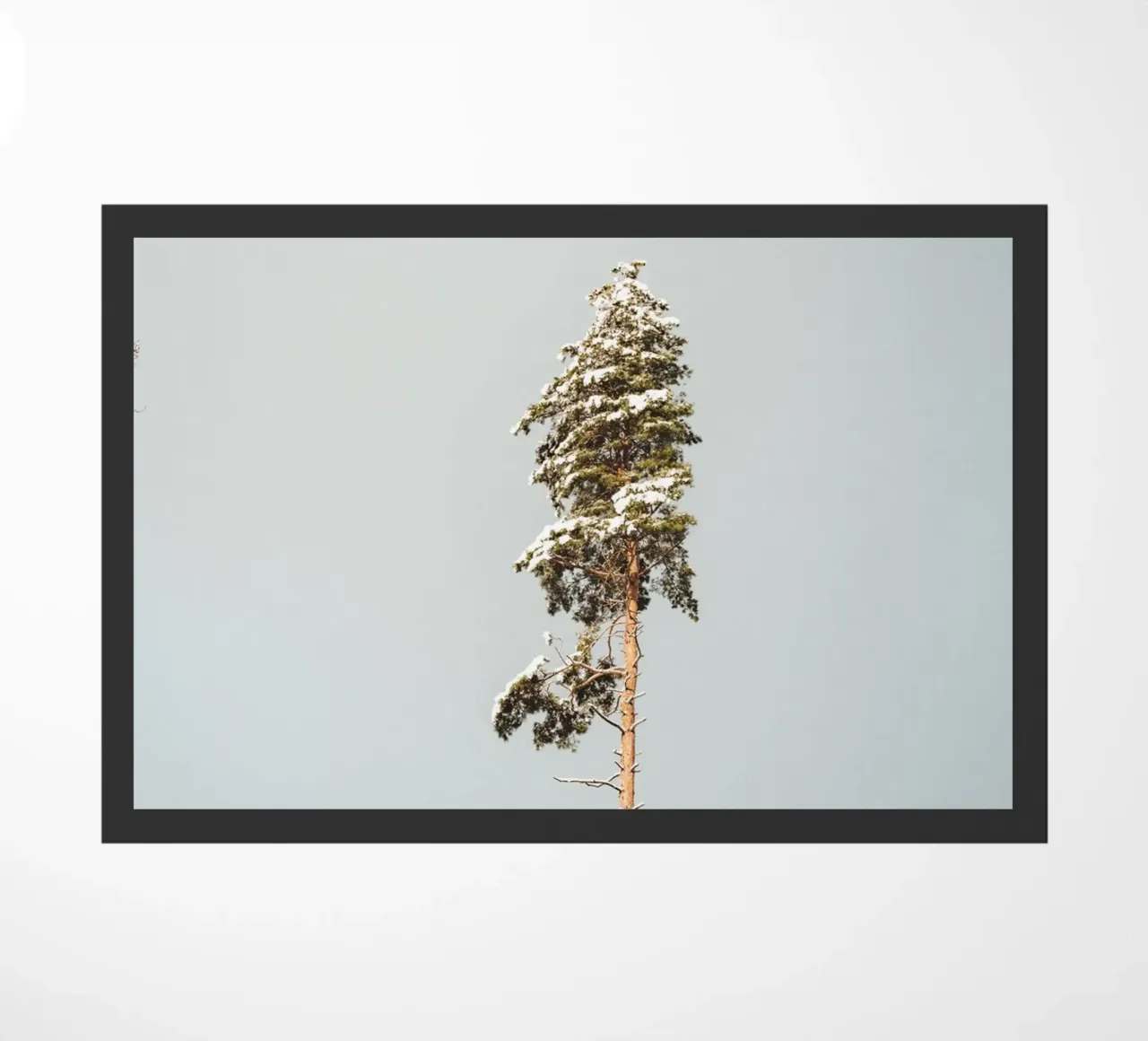 Albero innevato in inverno zerbino da Bold and Retro