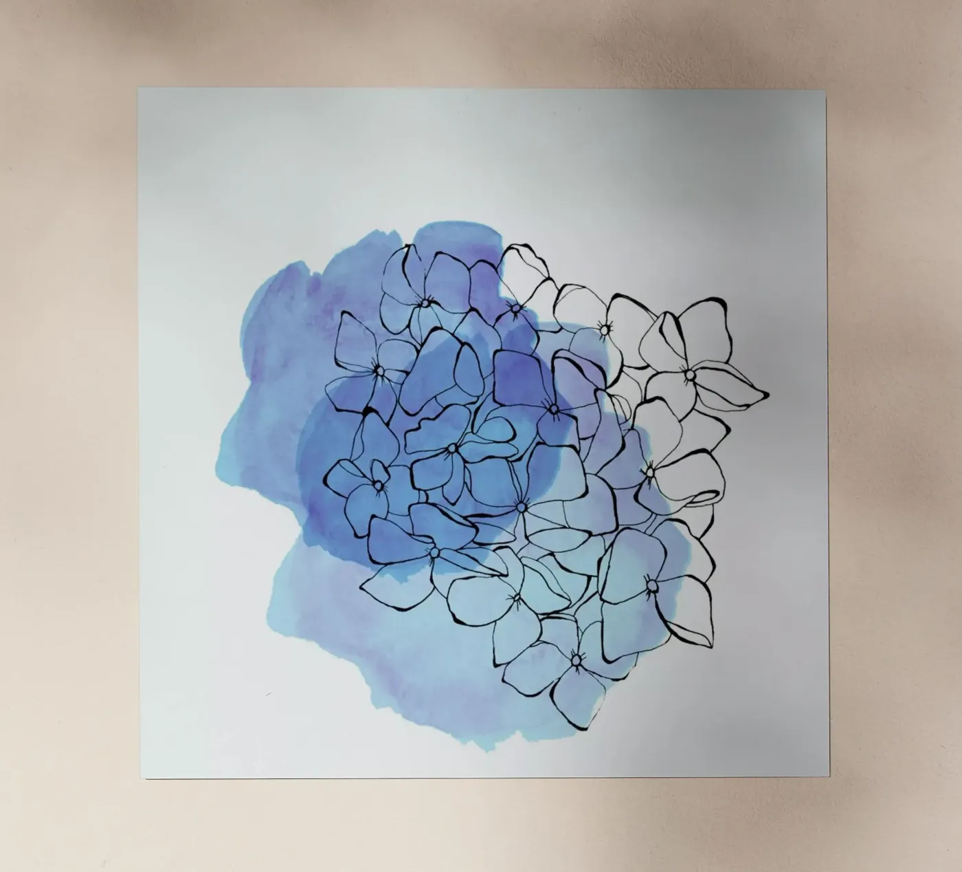 Hydrangea backlit folie van Morgan Kendall