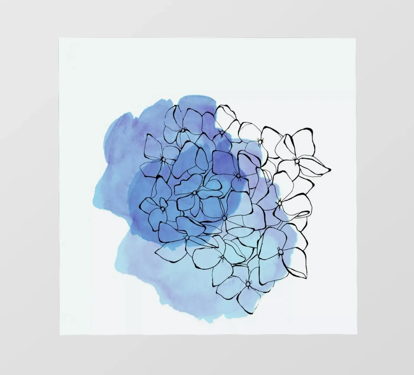 Hydrangea backlit folie van Morgan Kendall