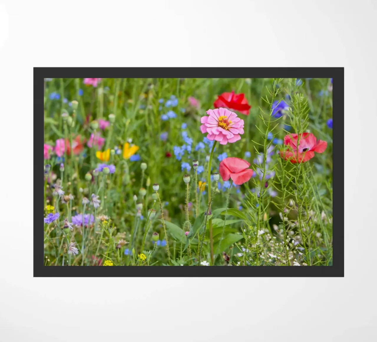 Un vivace arazzo di fiori - Beautiful Wildflowersfield zerbino da Curious Collections by Marielle Leenders