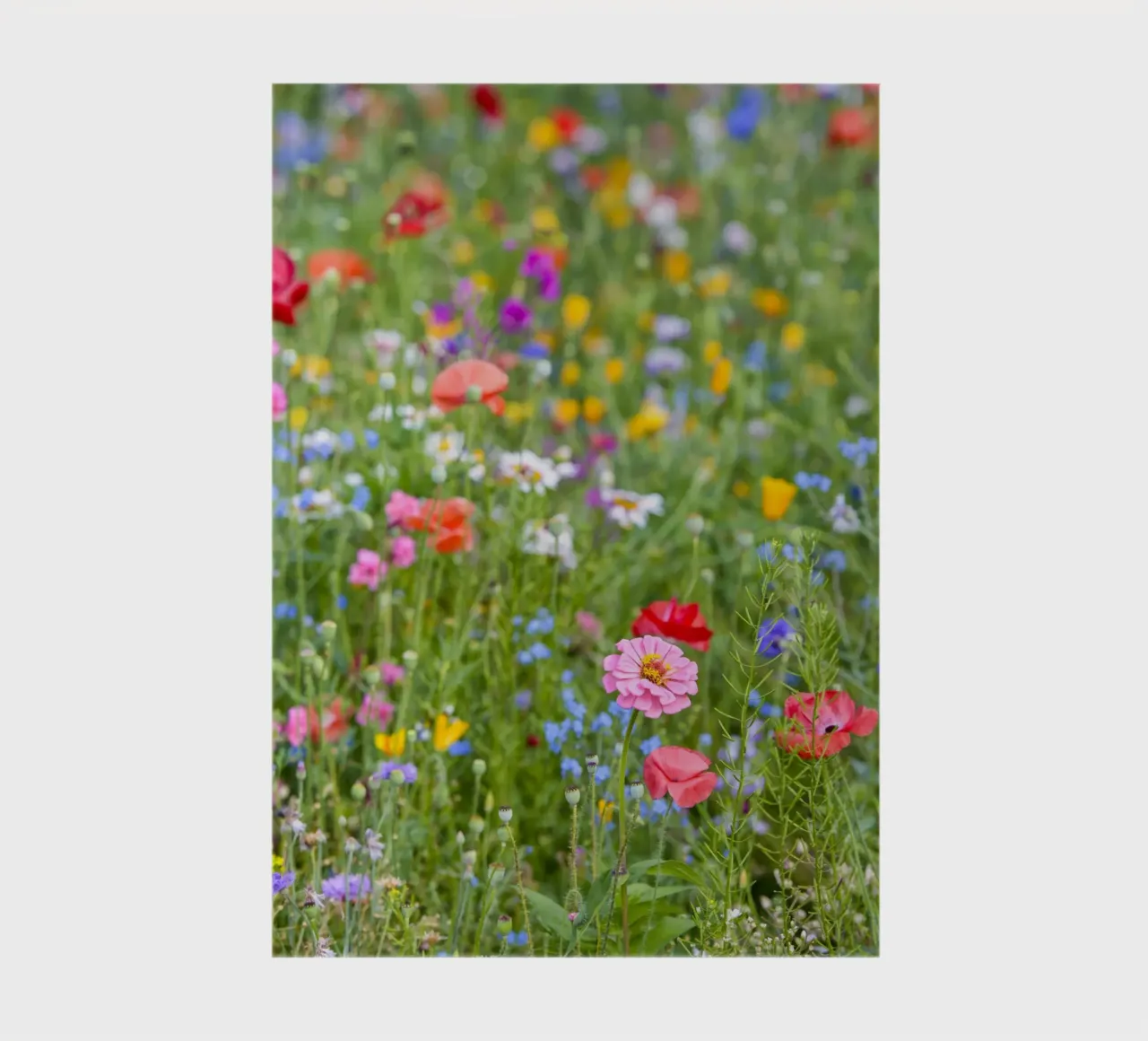 A Vibrant Tapestry of flowers - Beautiful Wildflowersfield notebook by Curious Collections by Marielle Leenders