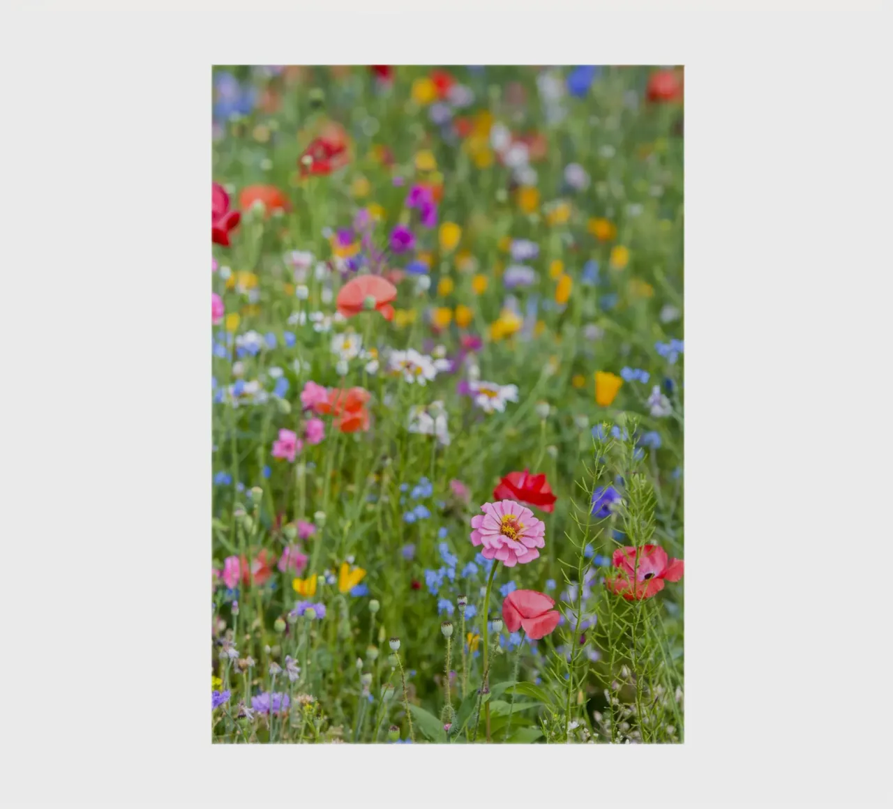 A Vibrant Tapestry of flowers - Beautiful Wildflowersfield notebook by Curious Collections by Marielle Leenders