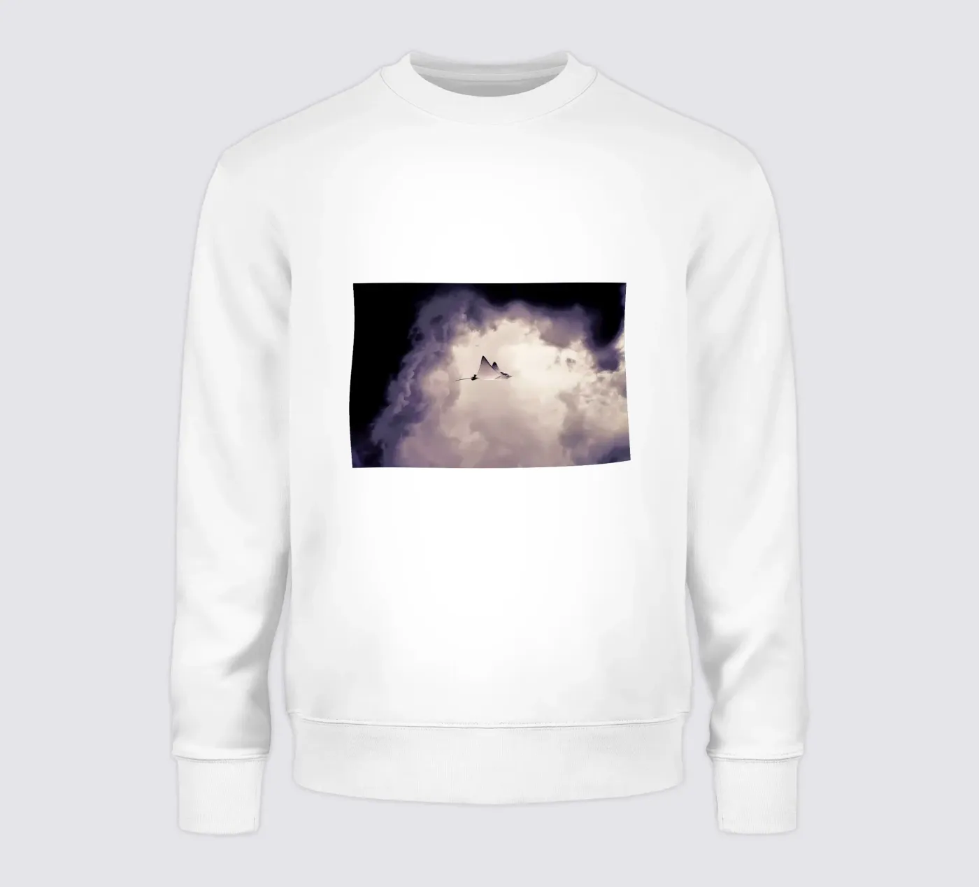 Lltt sweatshirt van Eugene Soloviev